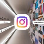 InstaSuperSave.com: The Ultimate Instagram Photo and Video Downloader for USA Users